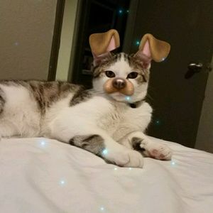 Meet your Posher, Fatima